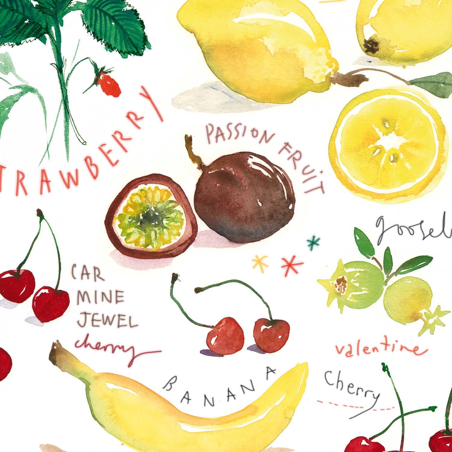 Spring fruits - In English