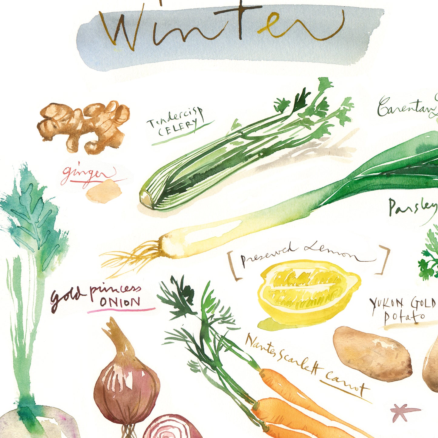 Winter vegetables