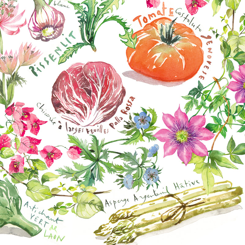 Spring flowers and vegetables