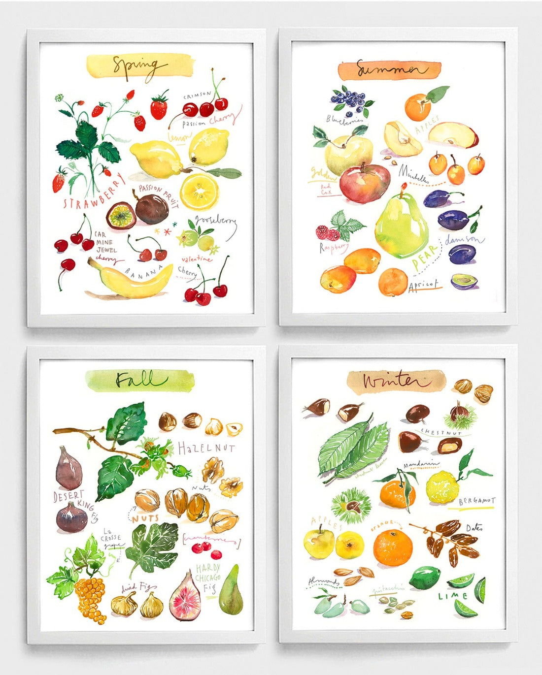 Seasonal Fruit print set