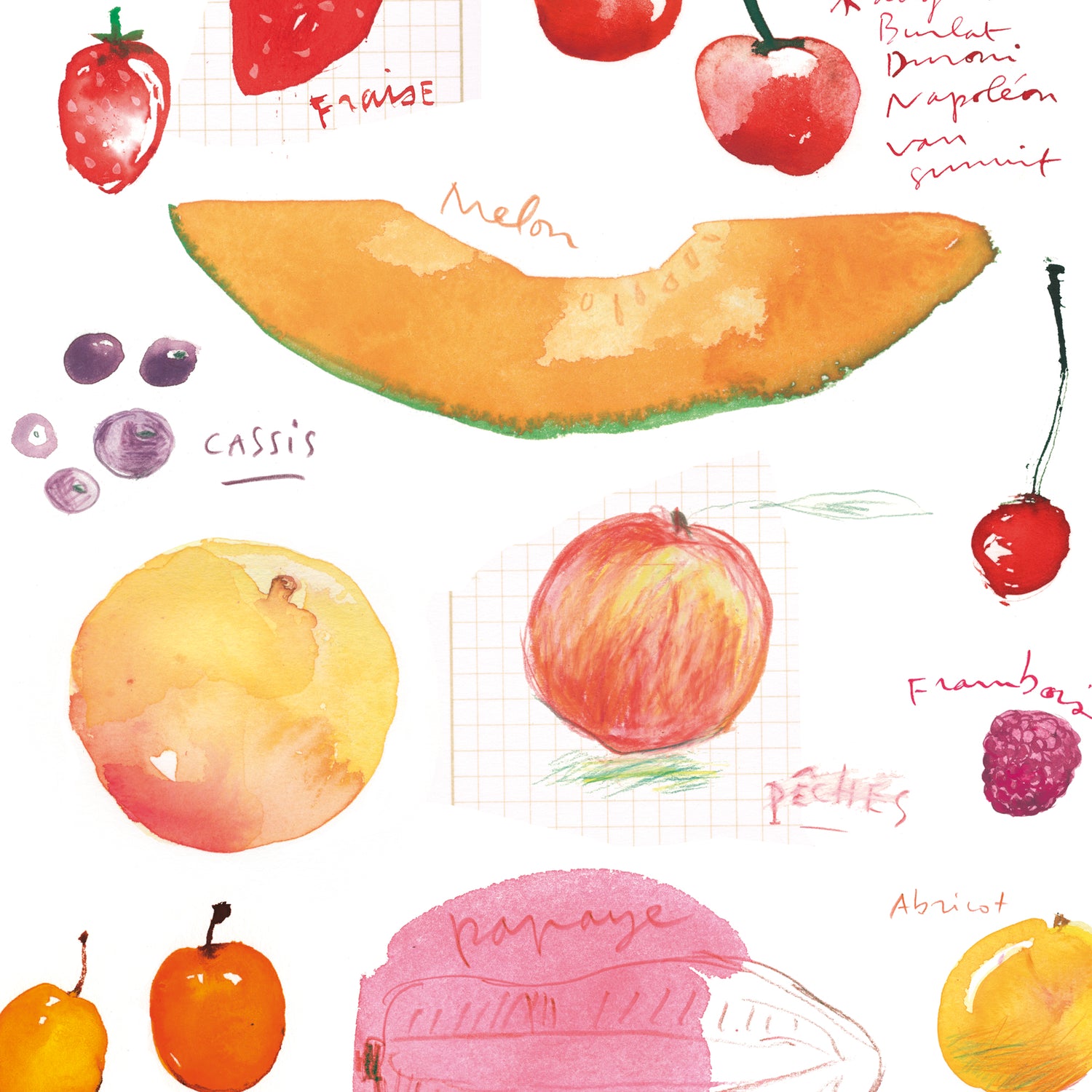 Seasonal fruit print set - In French