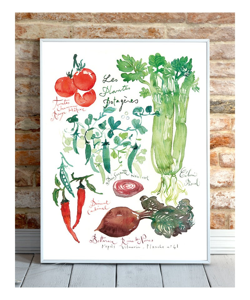 Les Plantes Potagères