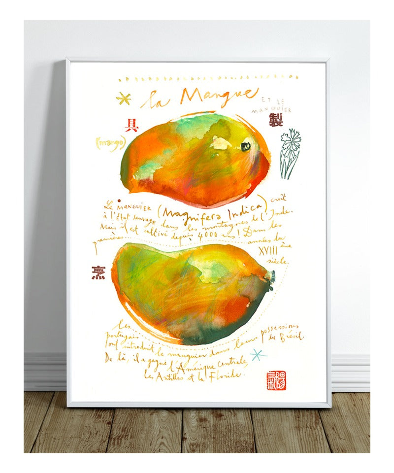 Mango illustration
