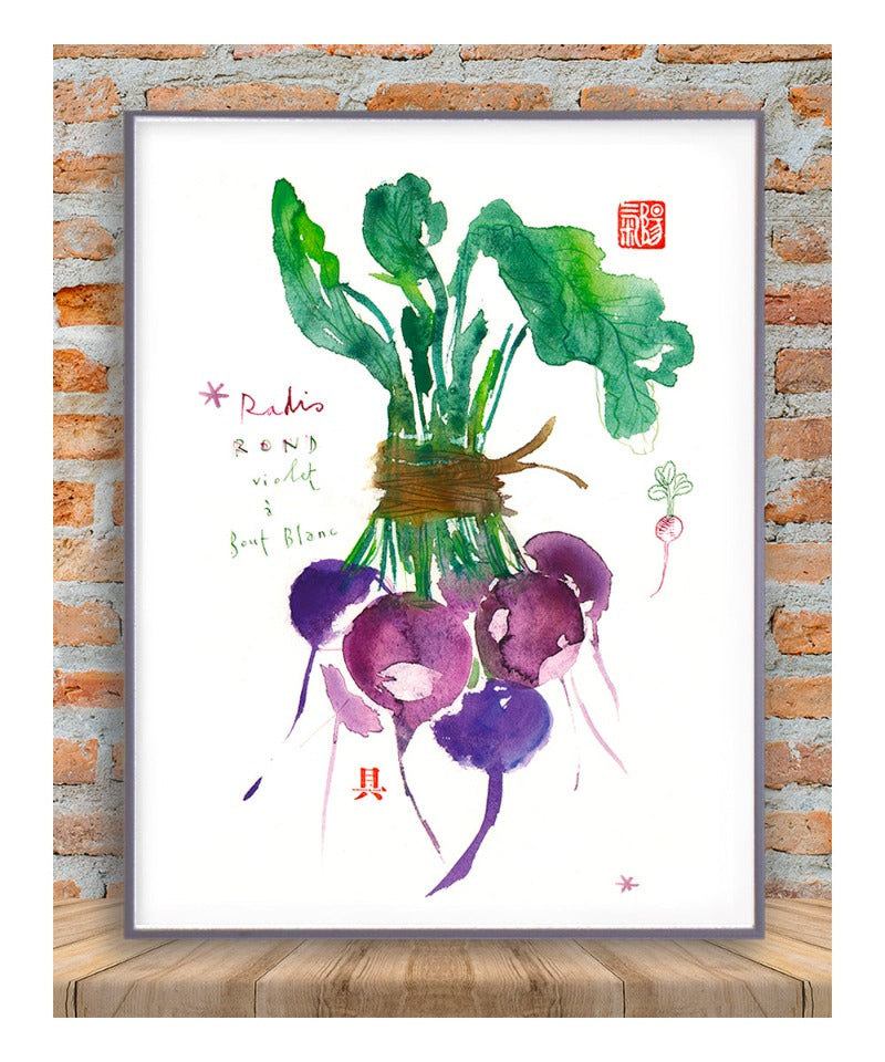 Purple radish