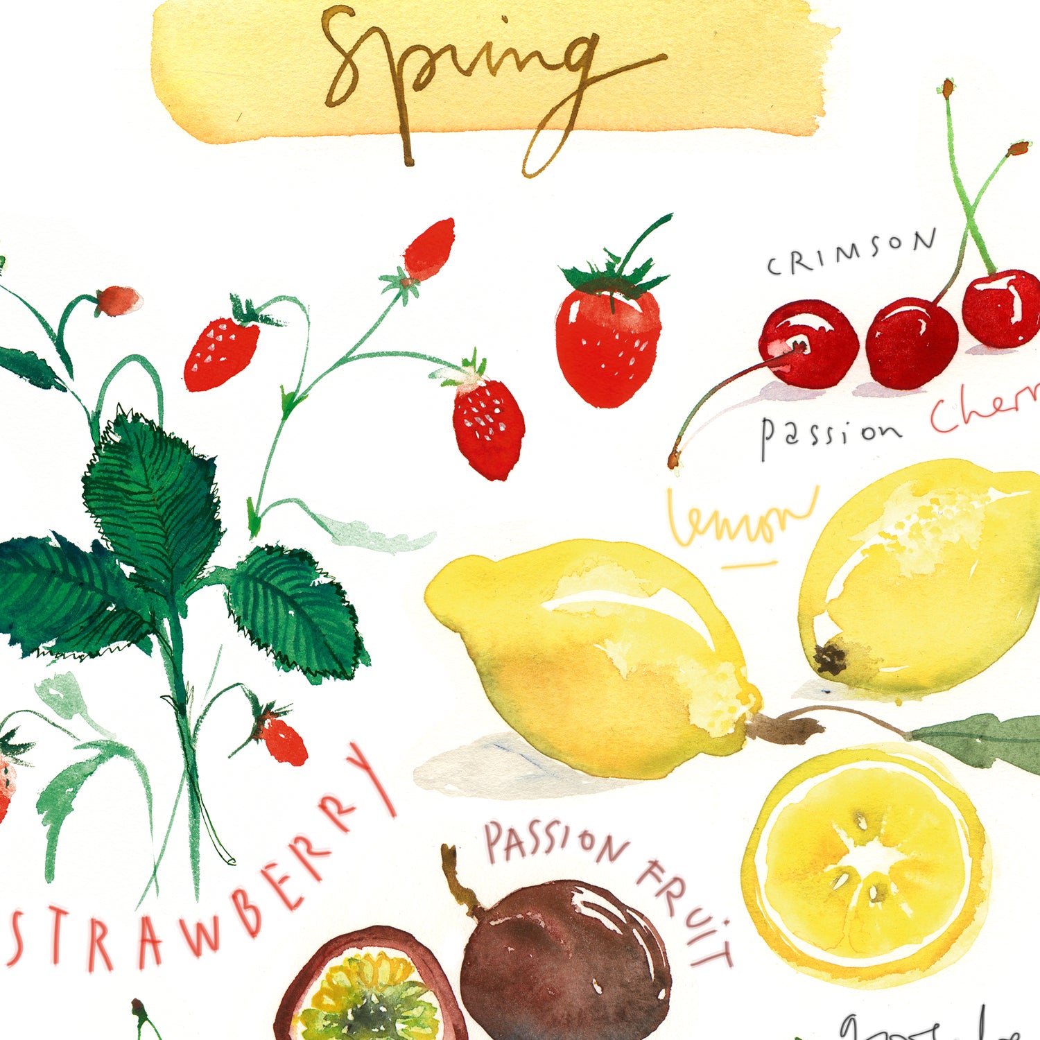 Seasonal Fruit print set