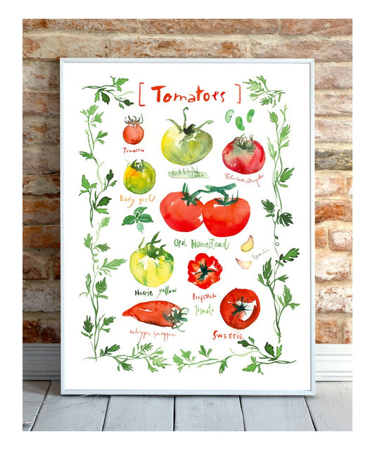 Les Variétés de Tomates