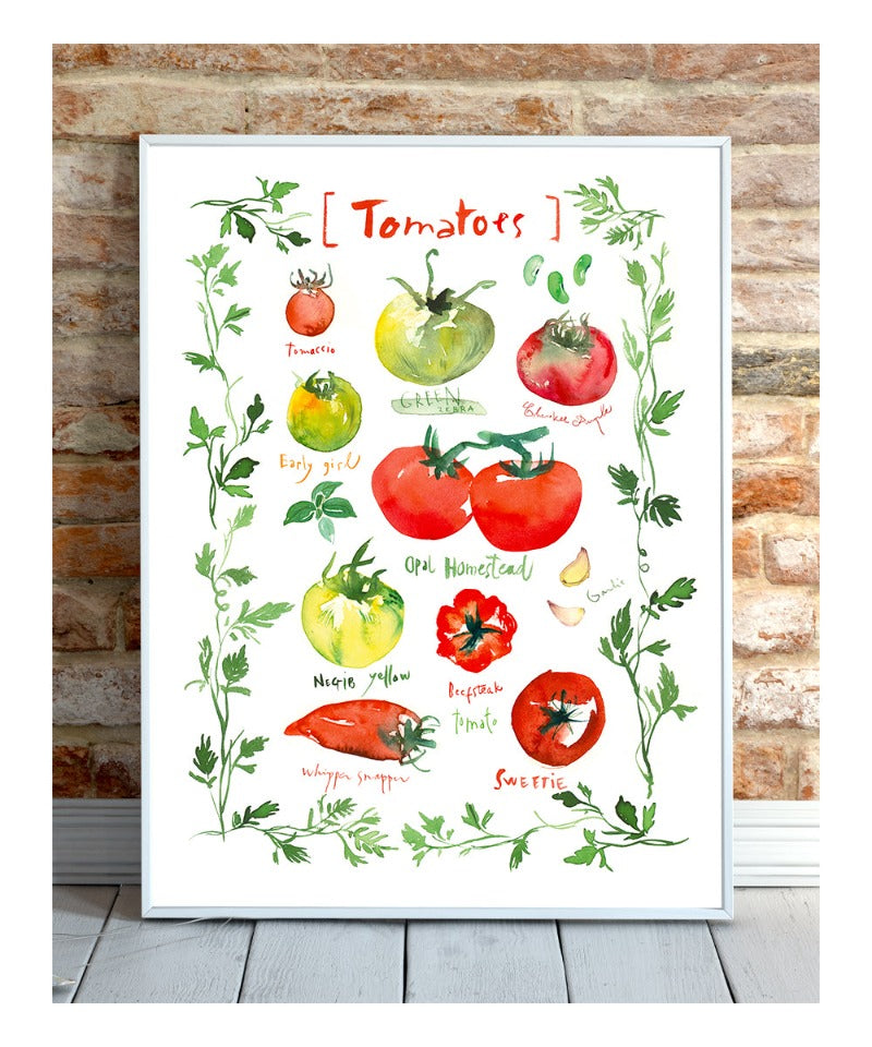 Tomato varieties